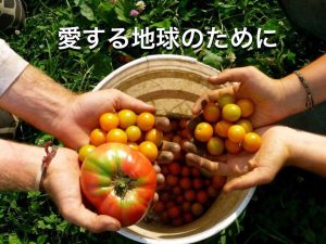 ecommerce,eコマース,innerorigin,onlineshopping,organic,organicfood,イナーオリジン,インナーオリジン,イーコマース,オンラインショッピング,オーガニック,オーガニック事業,オーガニック商品,オーガニック推進,オーガニック野菜,オーガニック食品,オーガーニック商材,オーストラリア,オーストラリアオーガニック,ショッピングサイト,代理店募集,健康食品,有機栽培,有機農家,有機農法,自然と人間の調和,食育